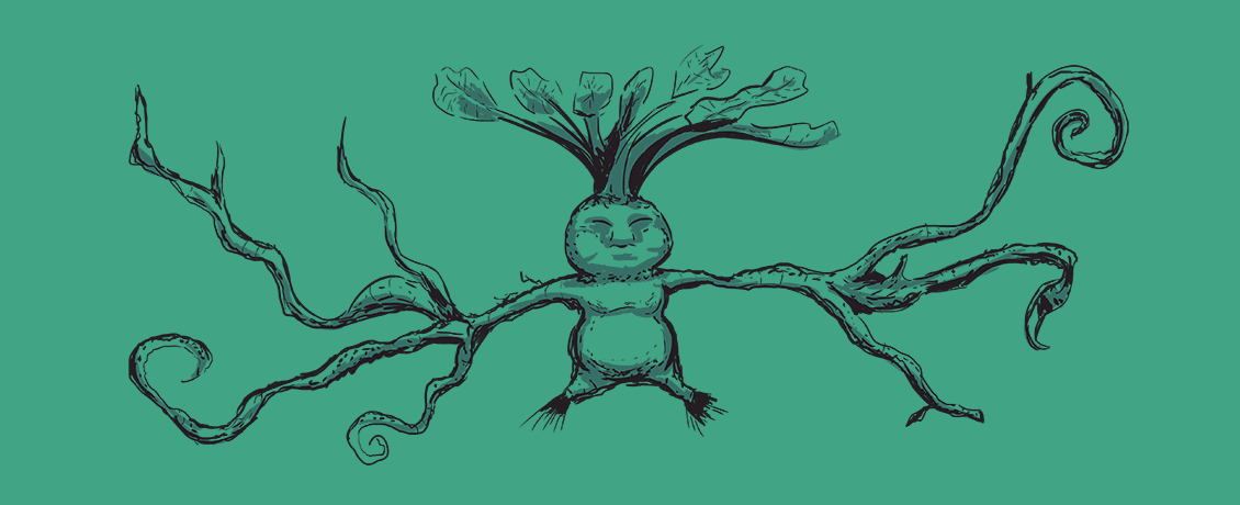 Mandrake illustration